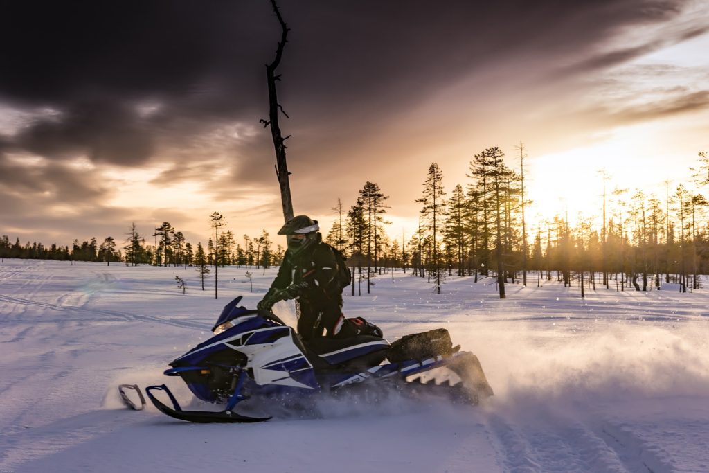 Fargo Snowmobile Insurance Insuring ND US Grant